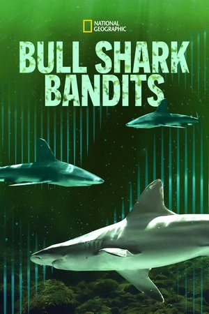 Watch Free Bull Shark Bandits (2023)