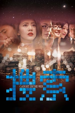 Watch Free Caught in the Web (2012)