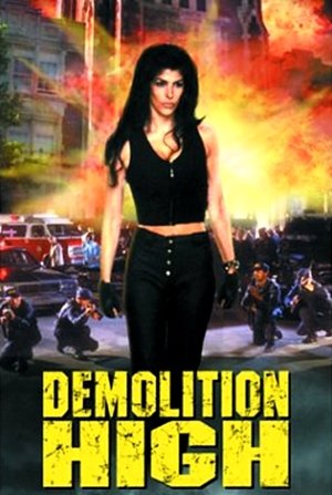 Watch Free Demolition High (1996)