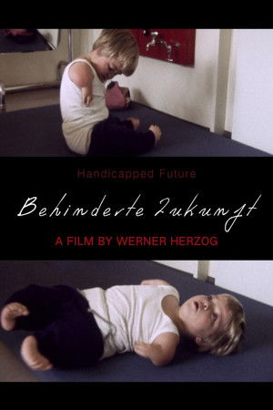 Watch Free Handicapped Future (1971)