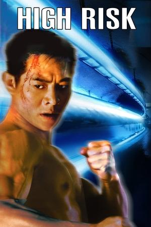 Watch Free High Risk (1995)