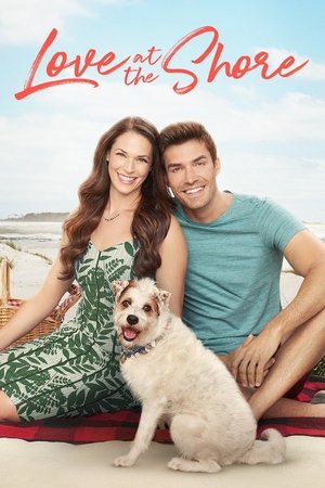 Watch Free Love at the Shore (2017)