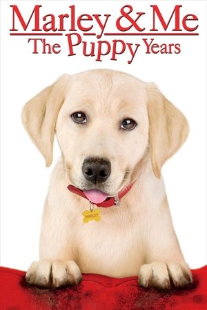 Watch Free Marley &amp; Me: The Puppy Years (2011)