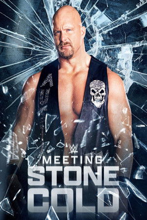 Watch Free Meeting Stone Cold (2021)