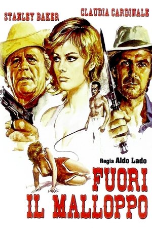 Watch Free The 21 Carat Snatch (1971)
