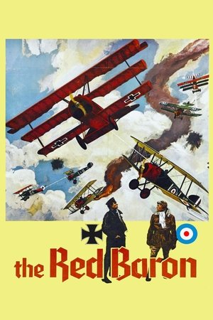 Watch Free Von Richthofen and Brown (1971)