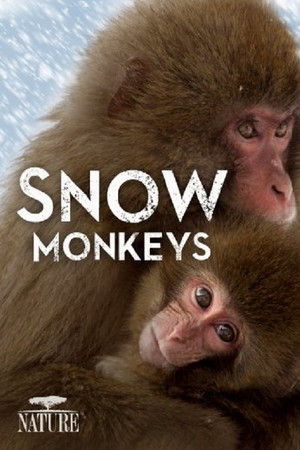 Watch Free Snow Monkeys (2014)