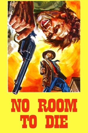 Watch Free No Room to Die (1969)