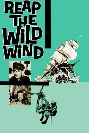 Watch Free Reap the Wild Wind (1942)