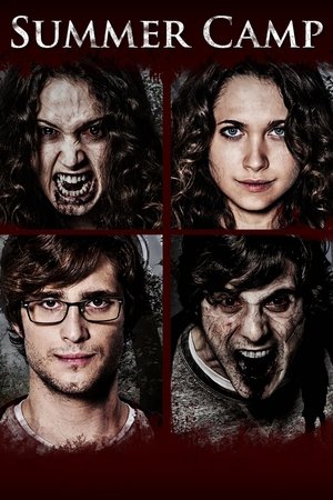 Watch Free Summer Camp (2015)