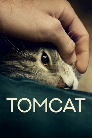 Watch Free Tomcat (2016)