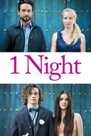 Watch Free One Night (2016)