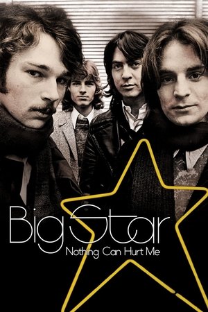 Watch Free Big Star Nothing Can Hurt Me (2012)