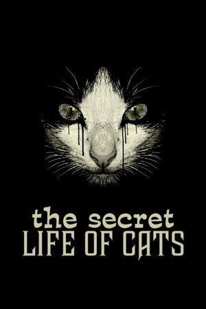 Watch Free The Secret Life of Cats (2014)