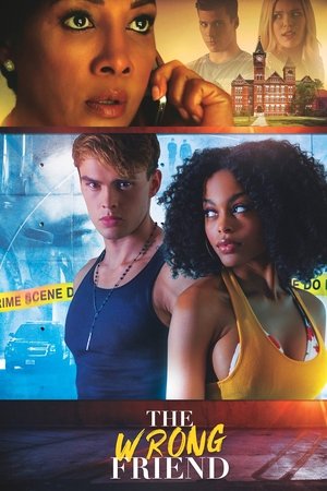 Watch Free The Wrong Friend (2018)