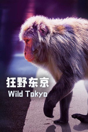 Watch Free Wild Tokyo (2020)