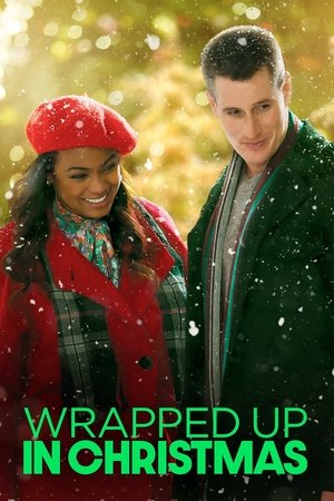 Watch Free Wrapped Up In Christmas (2017)
