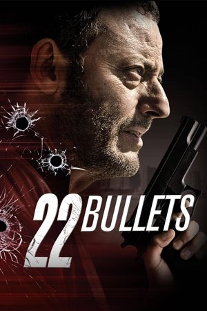 Watch Free 22 Bullets (2010)