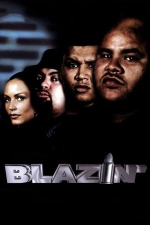 Watch Free Blazin (2001)