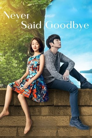 Watch Free Never Said Goodbye (2016)
