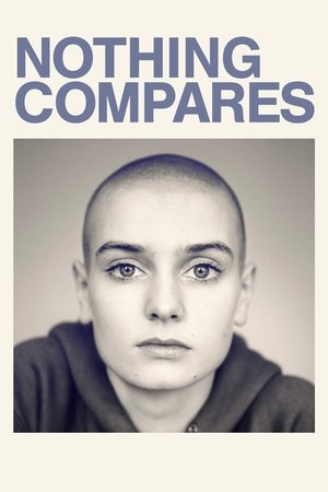 Watch Free Nothing Compares (2022)