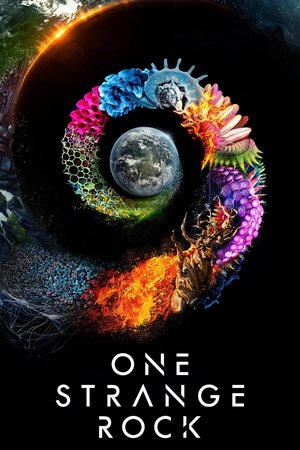 Watch Free One Strange Rock (2018)