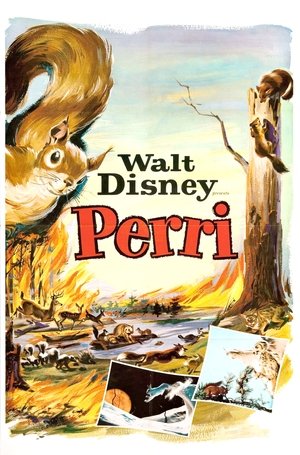 Watch Free Perri (1957)