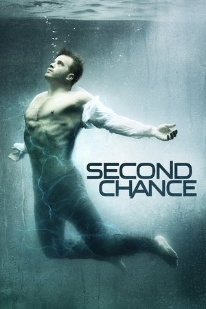 Watch Free Second Chance (TV Series 2016 )