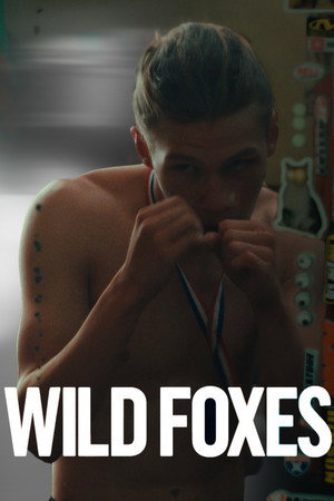Watch Free Wild Foxes (2026)