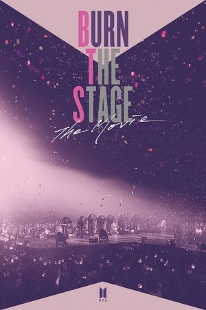 Watch Free Burn the Stage: The Movie (2018)