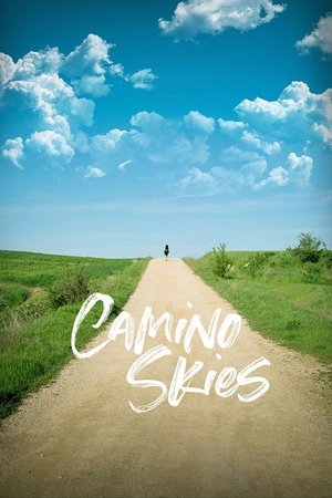 Watch Free Camino Skies (2019)