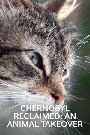 Watch Free Chernobyl Reclaimed An Animal Takeover (2007)