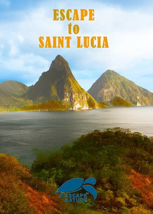 Watch Free Escape to Saint Lucia (2013)