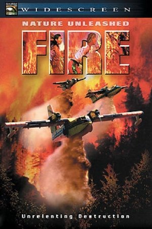 Watch Free Fire (2004)