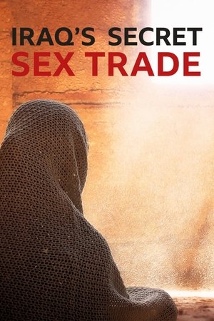 Watch Free Undercover with the Clerics Iraqs Secret Sex Trade (2019)