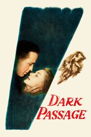 Watch Free Dark Passage (1947)