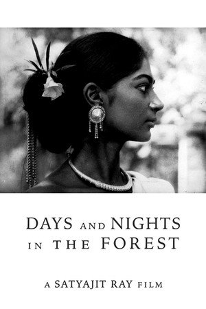 Watch Free Aranyer Din Ratri (1970)
