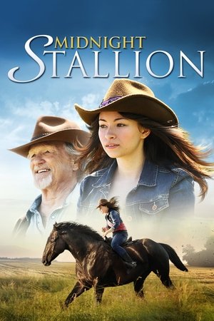 Watch Free Midnight Stallion (2013)
