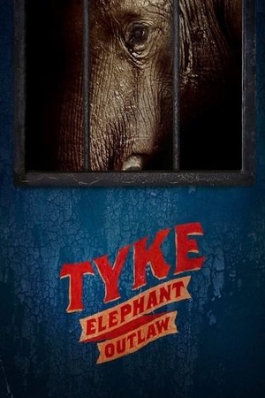 Watch Free Tyke Elephant Outlaw (2015)