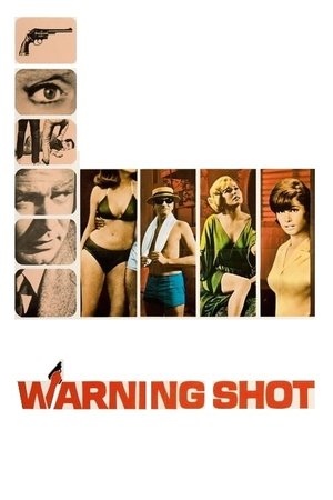 Watch Free Warning Shot (1966)