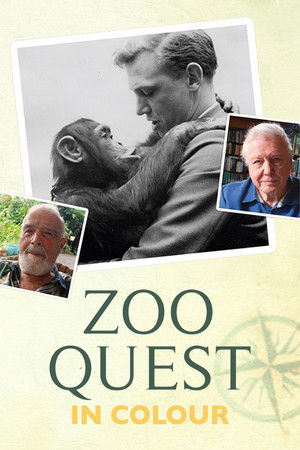 Watch Free Zoo Quest in Colour (2016)