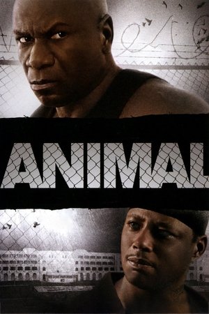Watch Free Animal (2005)