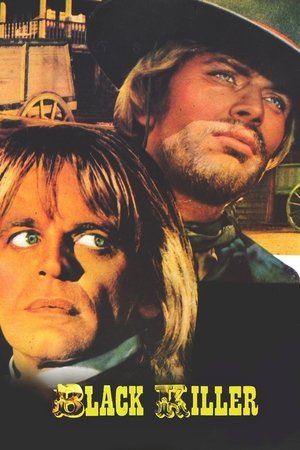Watch Free Black Killer (1971)