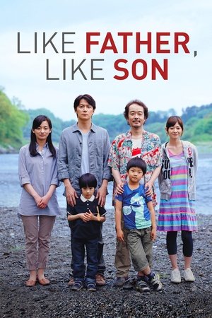 Watch Free Like Father, Like Son (2013)