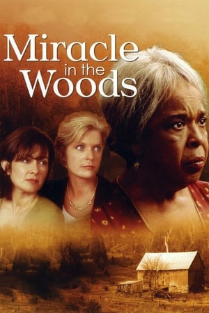 Watch Free Miracle in the Woods (1997)