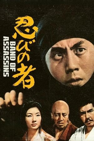 Watch Free Ninja, a Band of Assassins (1962)