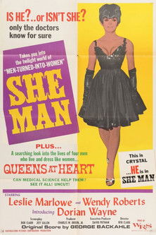 Watch Free SheMan: A Story of Fixation (1967)