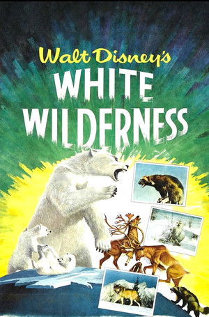 Watch Free White Wilderness (1958)