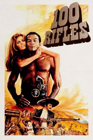 Watch Free 100 Rifles (1969)