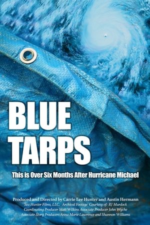 Watch Free Blue Tarps (2019)